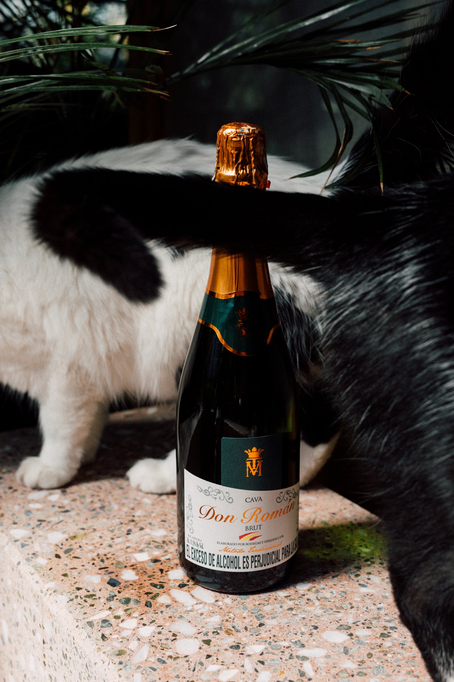 Cava Brut Don Román